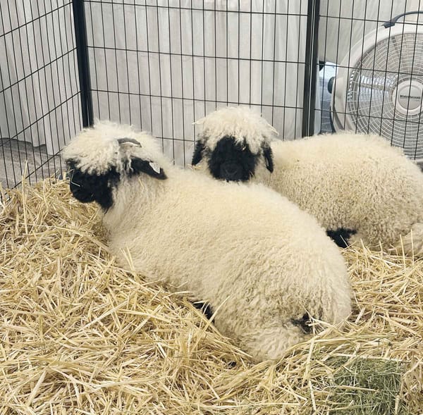 Your creativity is benevolent, and you can always return to it